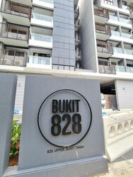 BUKIT 828 (D23), Apartment #360988561
